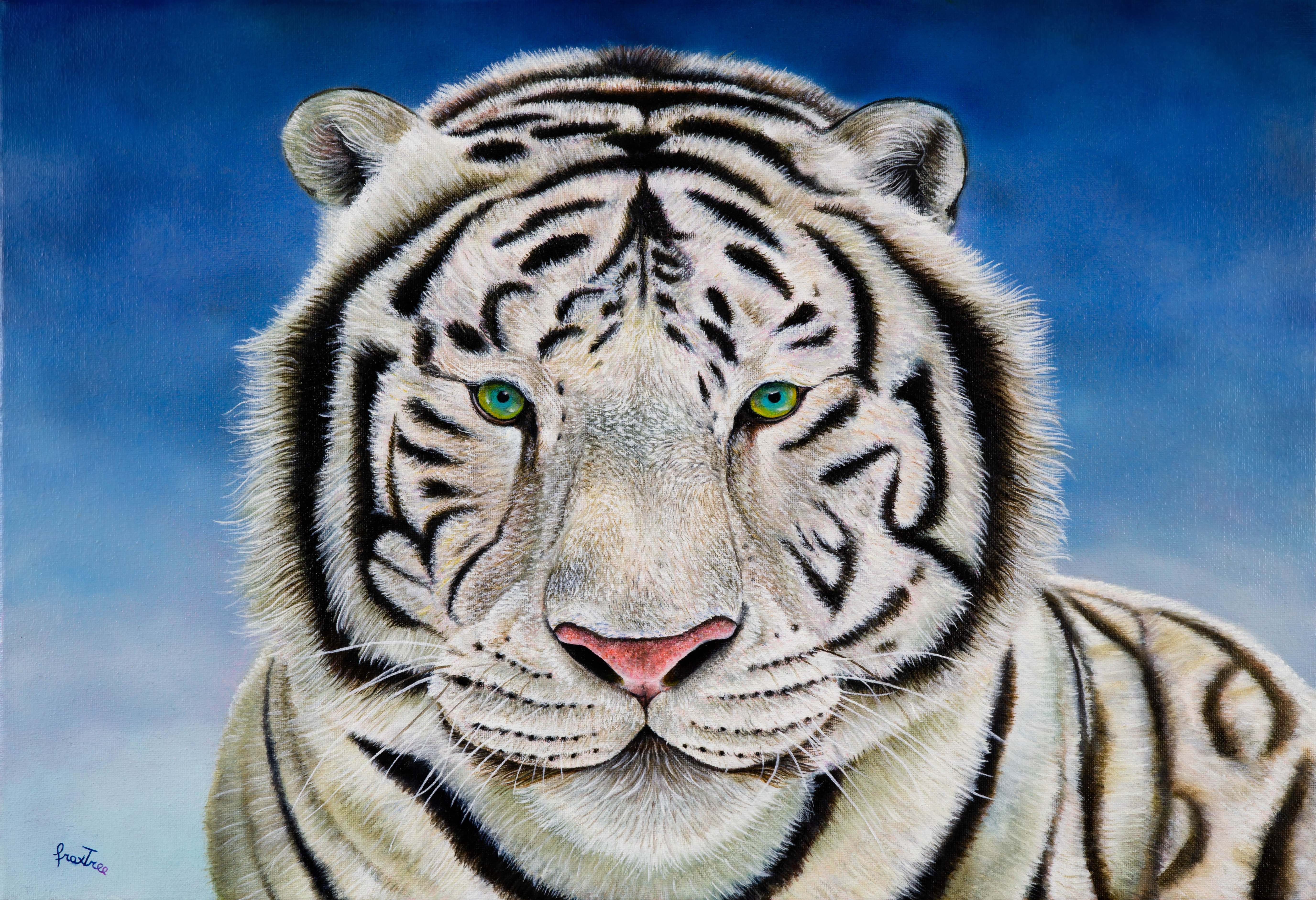 Tigre bianca del Bengala